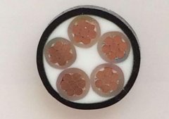 WDZN-YJY是什么電纜,WDZA-YJY是什么電纜,WDZN-YJY電纜與WDZA-YJY電纜的區(qū)別